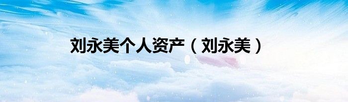 刘永美个人资产（刘永美）