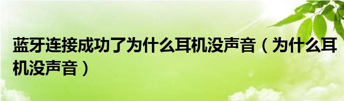 蓝牙连接成功了为什么耳机没声音（为什么耳机没声音）