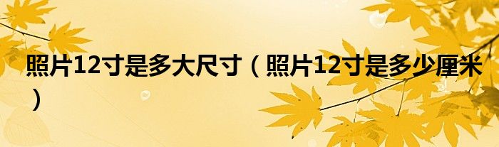 照片12寸是多大尺寸（照片12寸是多少厘米）
