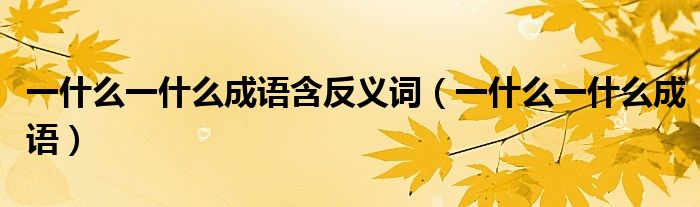 一什么一什么成语含反义词（一什么一什么成语）
