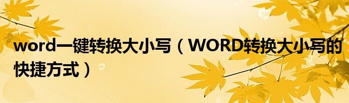 word一键转换大小写（WORD转换大小写的快捷方式）