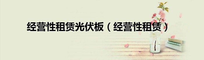 经营性租赁光伏板（经营性租赁）