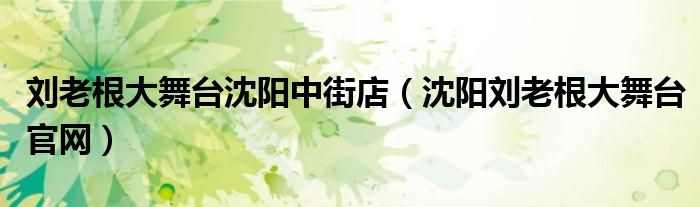 刘老根大舞台沈阳中街店（沈阳刘老根大舞台官网）