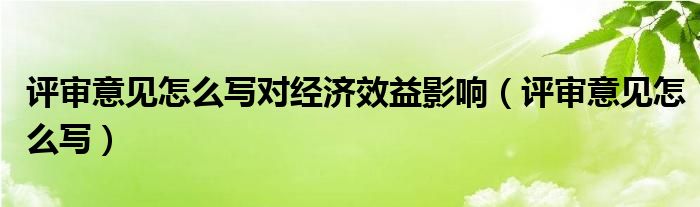 评审意见怎么写对经济效益影响（评审意见怎么写）