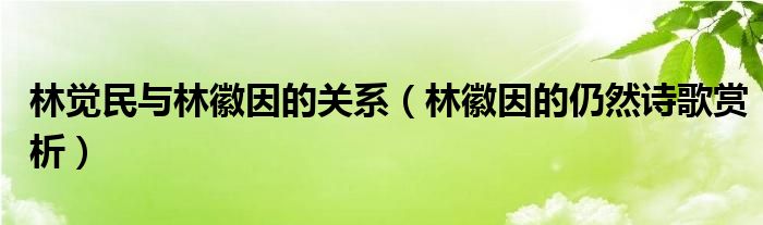 林觉民与林徽因的关系（林徽因的仍然诗歌赏析）