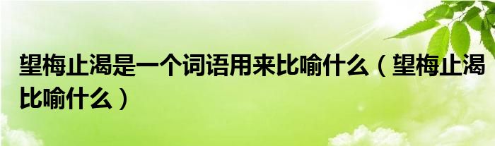 望梅止渴是一个词语用来比喻什么（望梅止渴比喻什么）