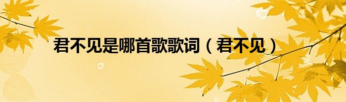 君不见是哪首歌歌词（君不见）