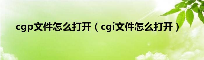 cgp文件怎么打开（cgi文件怎么打开）