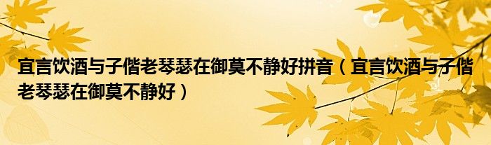 宜言饮酒与子偕老琴瑟在御莫不静好拼音（宜言饮酒与子偕老琴瑟在御莫不静好）