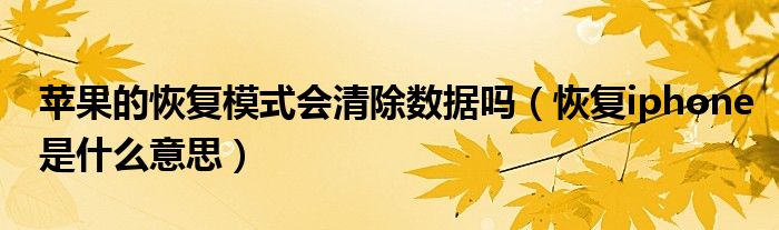苹果的恢复模式会清除数据吗（恢复iphone是什么意思）
