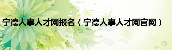 宁德人事人才网报名（宁德人事人才网官网）
