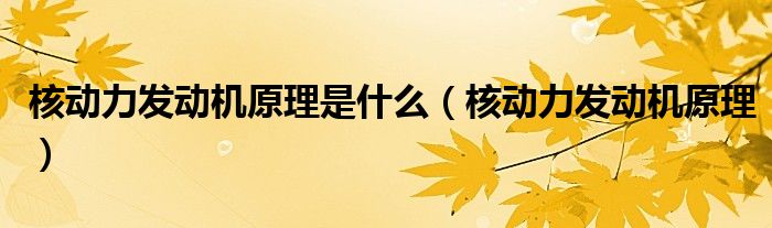 核动力发动机原理是什么（核动力发动机原理）