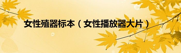 女性殖器标本（女性播放器大片）