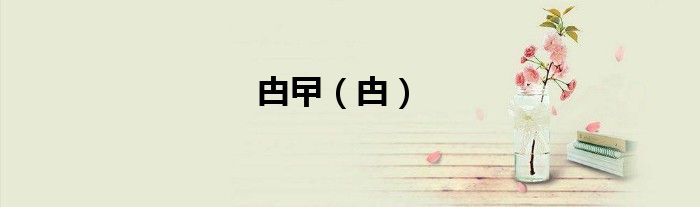 甴曱（甴）