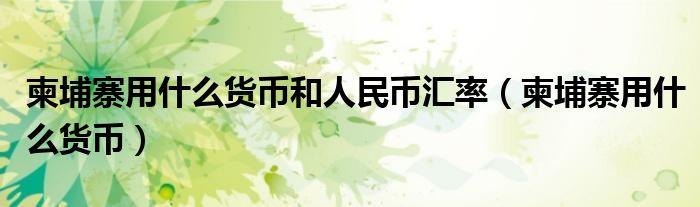 柬埔寨用什么货币和人民币汇率（柬埔寨用什么货币）