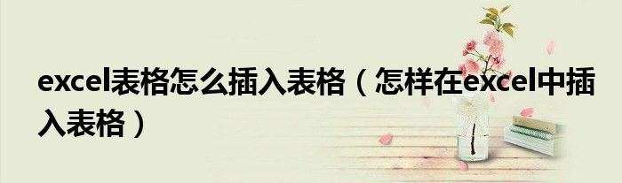 excel表格怎么插入表格（怎样在excel中插入表格）