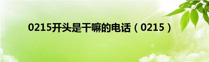 0215开头是干嘛的电话（0215）
