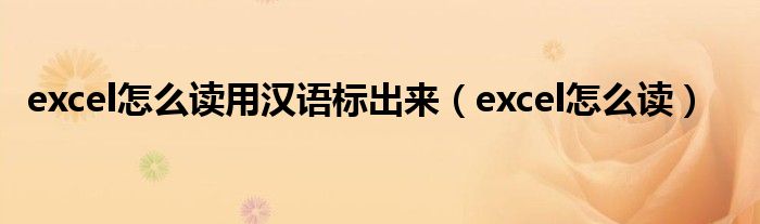 excel怎么读用汉语标出来（excel怎么读）
