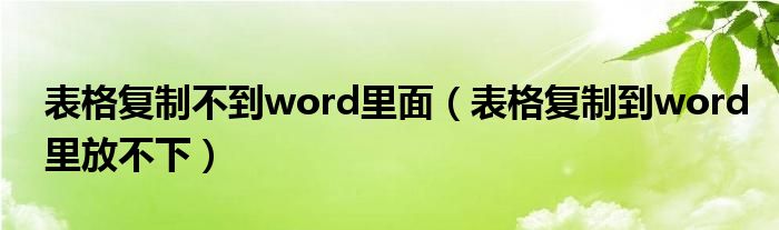 表格复制不到word里面（表格复制到word里放不下）