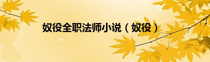 奴役全职法师小说（奴役）