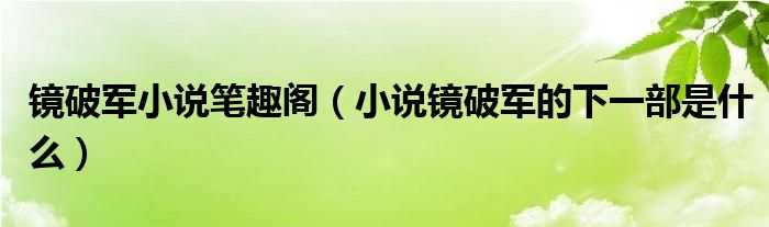 镜破军小说笔趣阁（小说镜破军的下一部是什么）