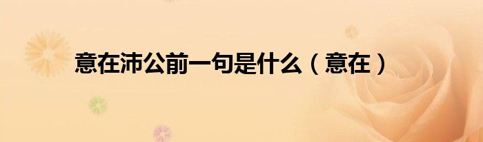 意在沛公前一句是什么（意在）