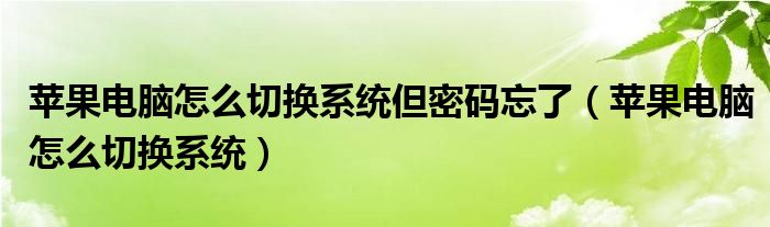 苹果电脑怎么切换系统但密码忘了（苹果电脑怎么切换系统）