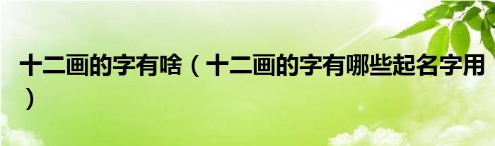 十二画的字有啥（十二画的字有哪些起名字用）