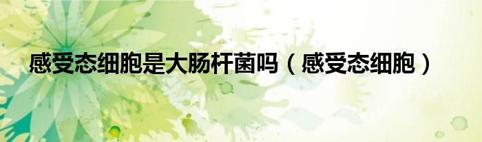 感受态细胞是大肠杆菌吗（感受态细胞）