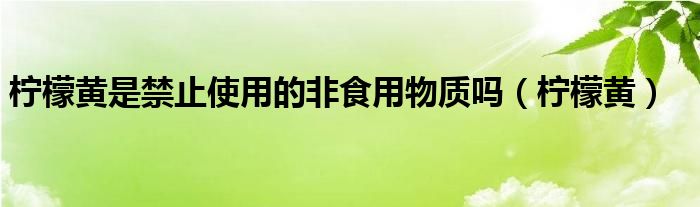 柠檬黄是禁止使用的非食用物质吗（柠檬黄）