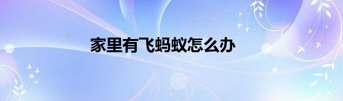 家里有飞蚂蚁怎么办