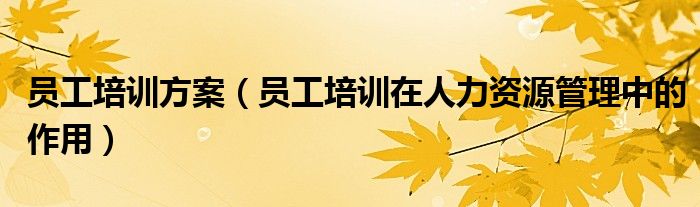 员工培训方案（员工培训在人力资源管理中的作用）