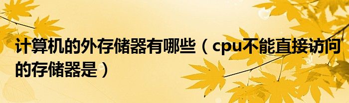 计算机的外存储器有哪些（cpu不能直接访问的存储器是）