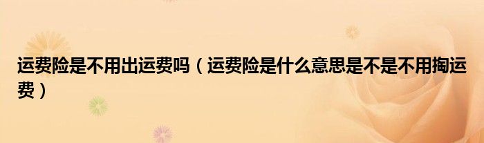 运费险是不用出运费吗（运费险是什么意思是不是不用掏运费）