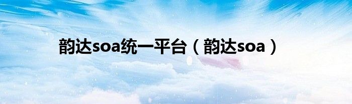 韵达soa统一平台（韵达soa）