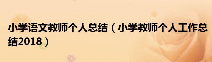 小学语文教师个人总结（小学教师个人工作总结2018）