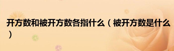 开方数和被开方数各指什么（被开方数是什么）