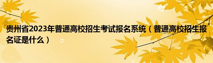 贵州省2023年普通高校招生考试报名系统（普通高校招生报名证是什么）