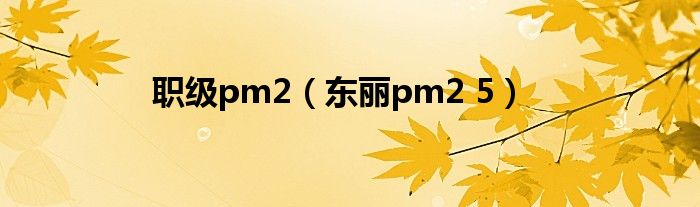 职级pm2（东丽pm2 5）