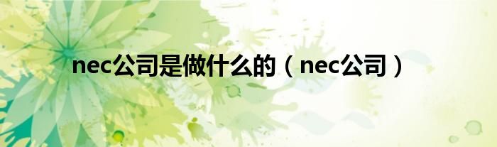 nec公司是做什么的（nec公司）