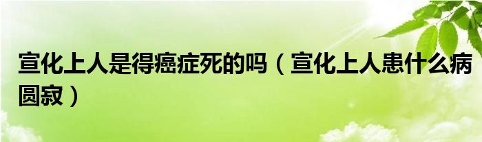 宣化上人是得癌症死的吗（宣化上人患什么病圆寂）