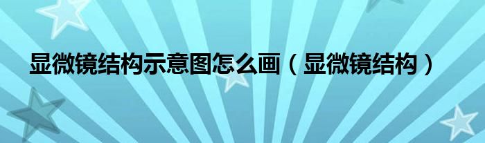 显微镜结构示意图怎么画（显微镜结构）