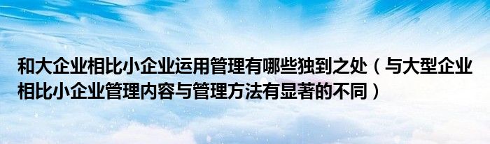 和大企业相比小企业运用管理有哪些独到之处（与大型企业相比小企业管理内容与管理方法有显著的不同）