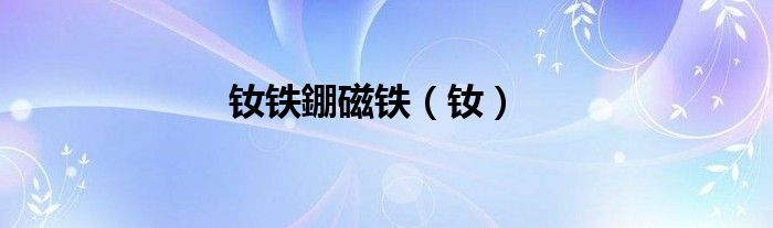 钕铁錋磁铁（钕）