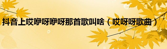 抖音上哎咿呀咿呀那首歌叫啥（哎呀呀歌曲）