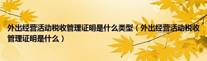 外出经营活动税收管理证明是什么类型（外出经营活动税收管理证明是什么）