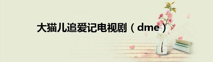 大猫儿追爱记电视剧（dme）