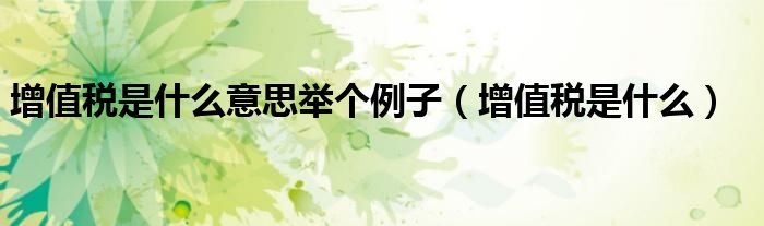 增值税是什么意思举个例子（增值税是什么）