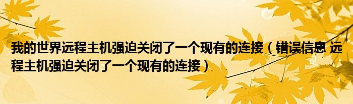 我的世界远程主机强迫关闭了一个现有的连接（错误信息 远程主机强迫关闭了一个现有的连接）
