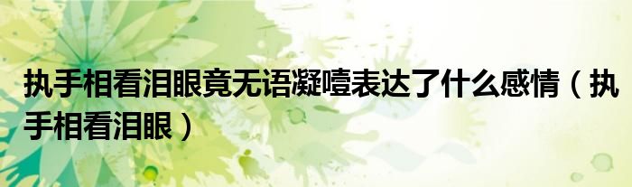 执手相看泪眼竟无语凝噎表达了什么感情（执手相看泪眼）